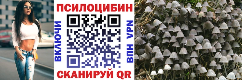 где купить наркоту  Олёкминск  Псилоцибиновые грибы Cubensis 